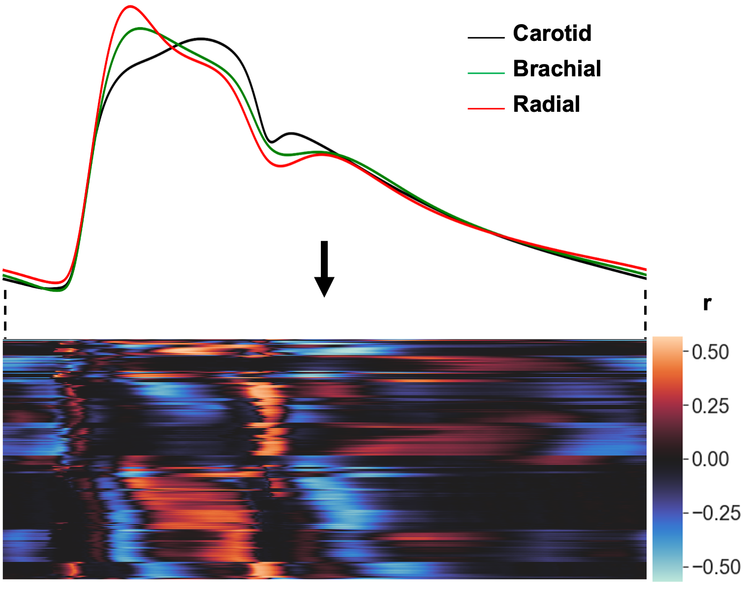 Layer